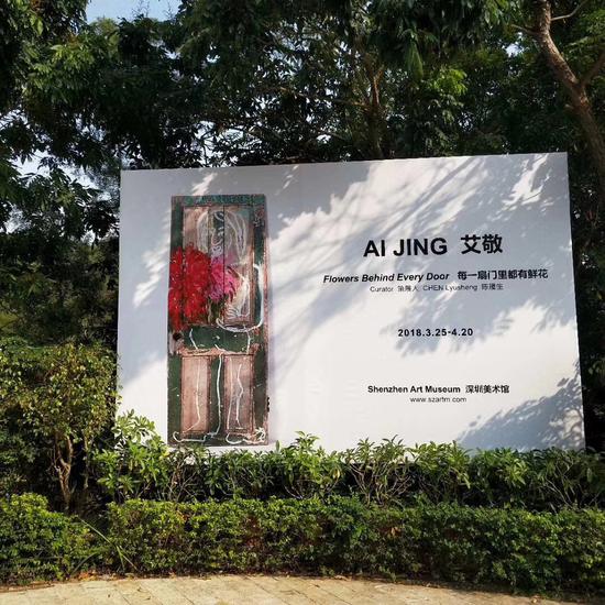展览现场，艾敬，深圳美术馆“每一扇门里都有鲜花”个展
