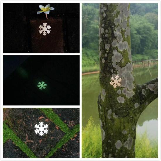 杨旻 《东莞飘起的一点雪花》夜光贴纸