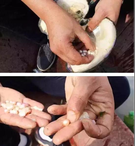 图片点击可在新窗口打开查看