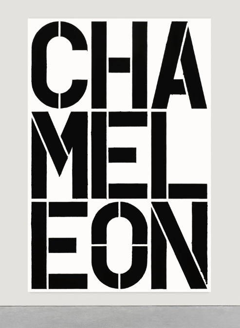 克里斯多夫·沃尔《Untitled （Chameleon）》