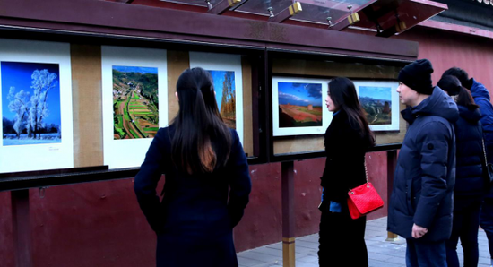 游客在观赏右玉生态旅游照片