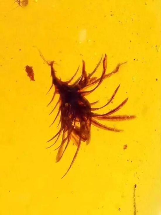 图片点击可在新窗口打开查看