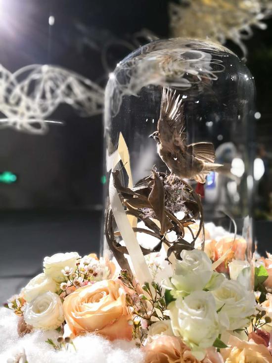 参展作品
