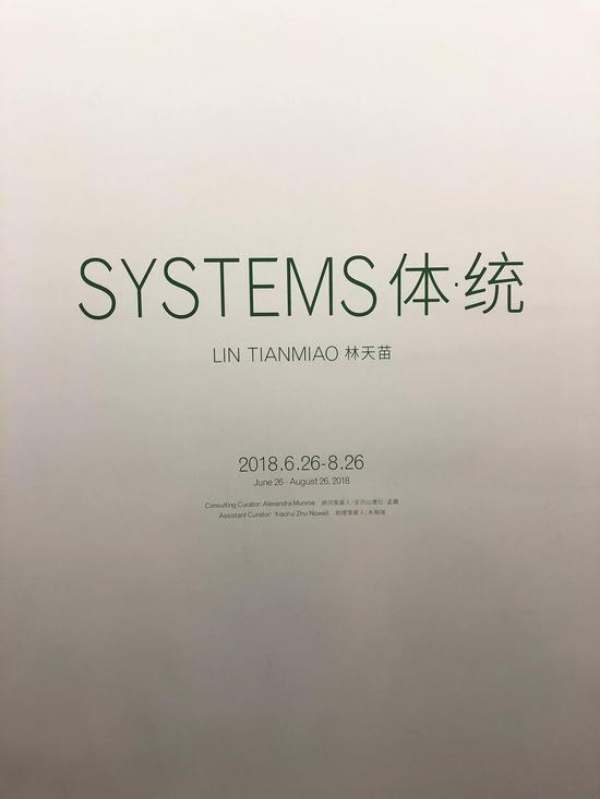 “林天苗:体·统”展览现场