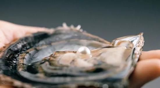 被取出珍珠之后的贝肉怎么办?到底还能不能吃?...