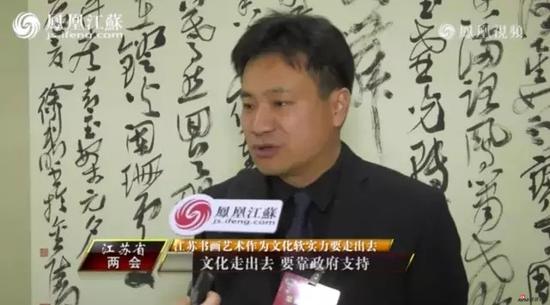 作为“江苏省两会”代表为文化事业发展谏言