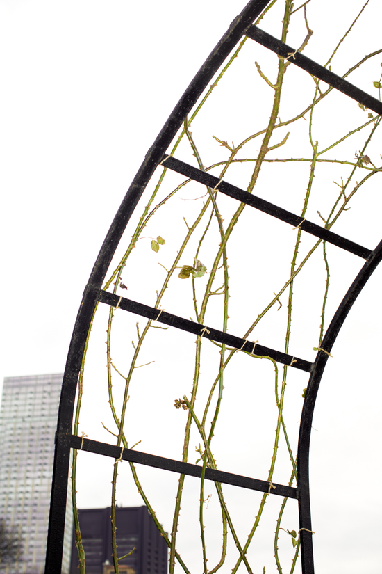 Arch, 拱门, 2017 30 x 20 in. (76.2 x 50.8 cm) Digital inkjet print on fine art archival paper 收藏级数码微喷