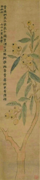 野枇杷图（国画） 111×26厘米 1762年作 金农 上海中国画院藏 程十发捐赠
