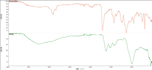 图4 疑似拼合部位和横截面处红外光谱