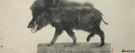 野猪 设色纸本 40×100cm