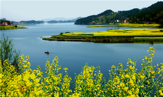 汉中最美油菜花海(汉中市文化和旅游局供图)