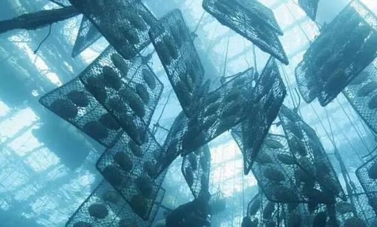 图片点击可在新窗口打开查看