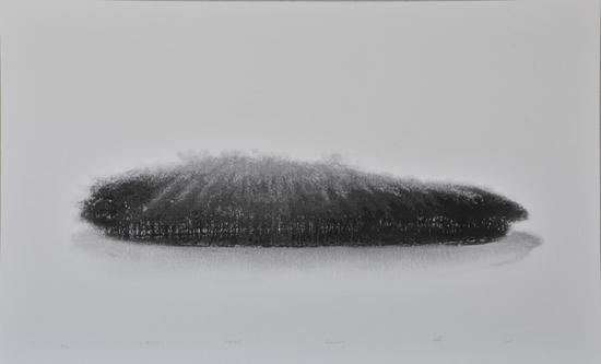 李斌 停行VI 木版水印 86cm x140cm 2015