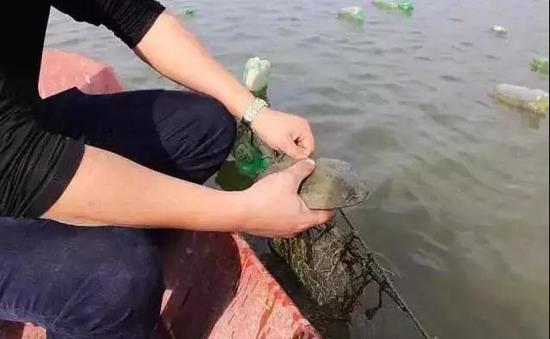 图片点击可在新窗口打开查看