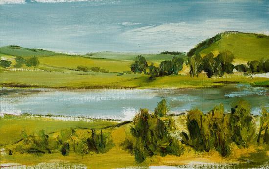 《塞罕坝。有湖的风景》 31x51cm 布面油画
