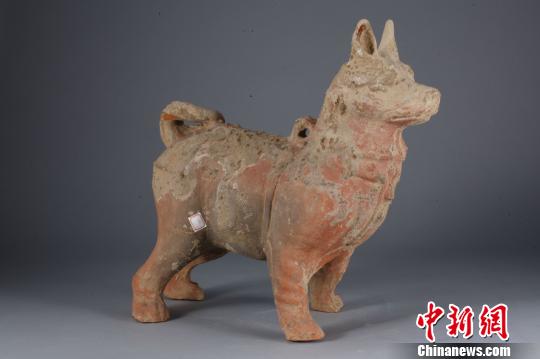 图为重庆万州出土的汉代陶狗。重庆中国三峡博物馆供图
