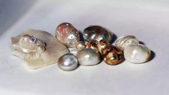 部分样品,在碳测年试验中使用的为最左侧的“水泡珍珠”上获得的粉末。
