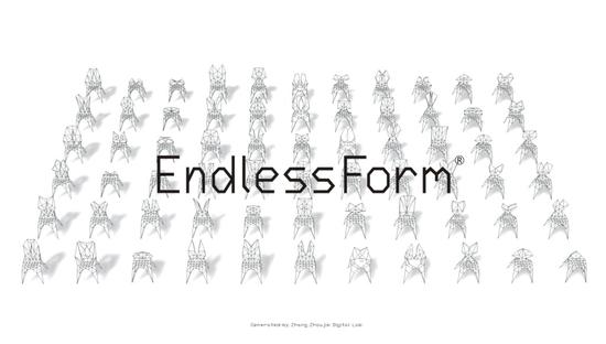 张周捷_Endless Form_2