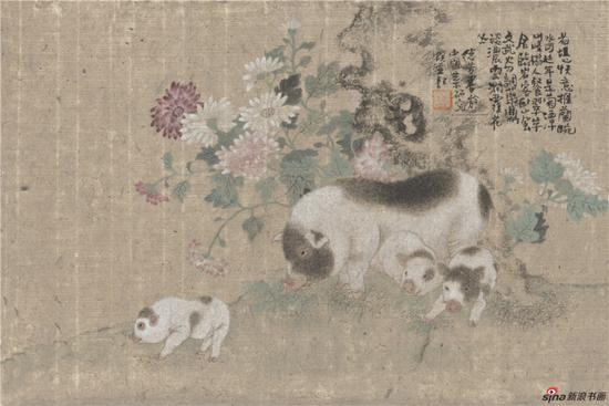 菊香猪肥 45cm×31cm