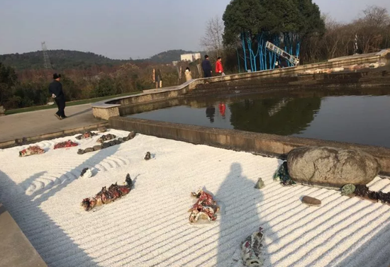 蔡晓琳《小丑鱼》