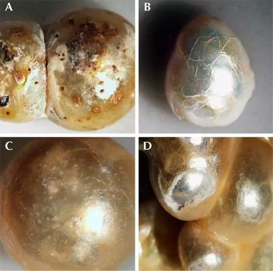 珍珠表面出现的各种老化现象