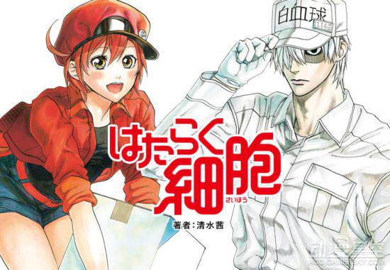 原版《工作细胞》