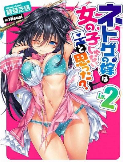 《线上游戏的老婆》小说插画太工口引关注