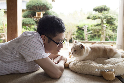一个电影院的猫奴，日本人气手游《猫咪后院》真人（猫）电影 2017 年上映