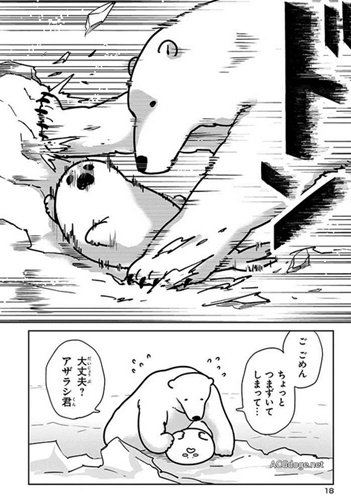 跨越种族的搞基，北极熊与海豹恋爱搞笑漫画《恋爱北极熊》动画化