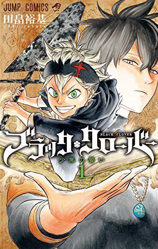 TV动画《黑色五叶草》公开制作信息及视觉图 资讯 第3张