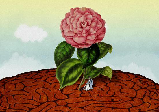 中国艺术家扬礼杰