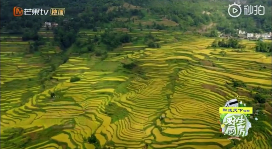重庆酉阳人口_重庆酉阳渔政水产人员赴秀山县考察学习