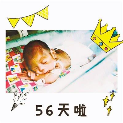 56天,小不点长大了。院方供图