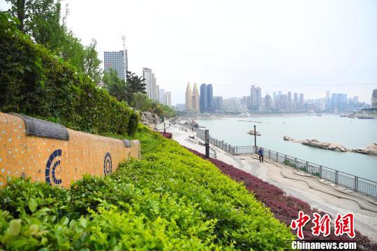图为重庆南滨路滨江步道景色迷人。 陈超 摄