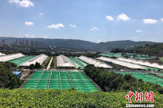 资料图为西南地区最大处理规模的重庆鸡冠石污水处理厂。 刘相琳 摄