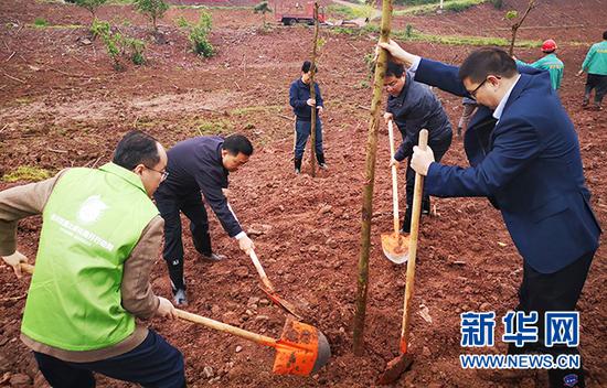 4月15日,合川区“国土绿化提升行动活动周”启动后,现场开展绿化植树活动。新华网 韩梦霖 摄