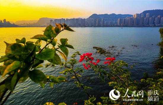 南滨公园夕阳晚照。何超摄