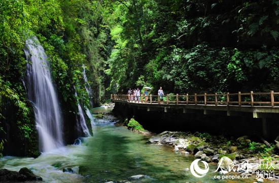 万盛黑山谷景区。万盛文旅委供图