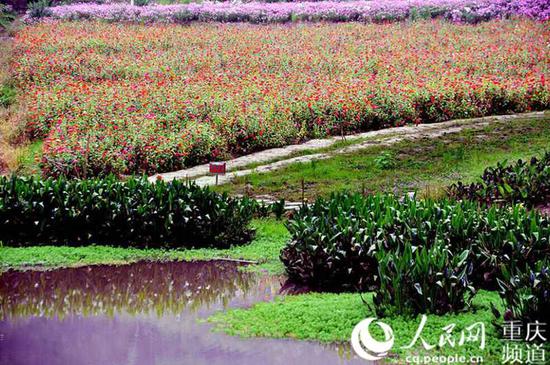 万州石桥水乡和湿地公园。