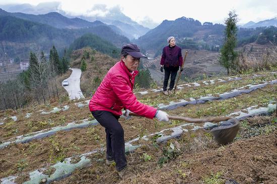 226գغˮ󺮴ɽϣڸݡ»  