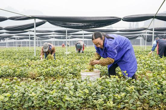 225գ帣ŴͲԻأڳݡ»  