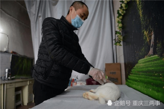 杨宇细心地给宠物喷上消毒水。摄影 邹乐