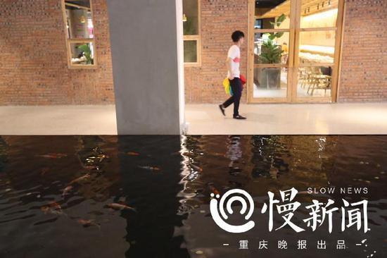 鲤鱼池42号艺术公园里真的有42条鲤鱼