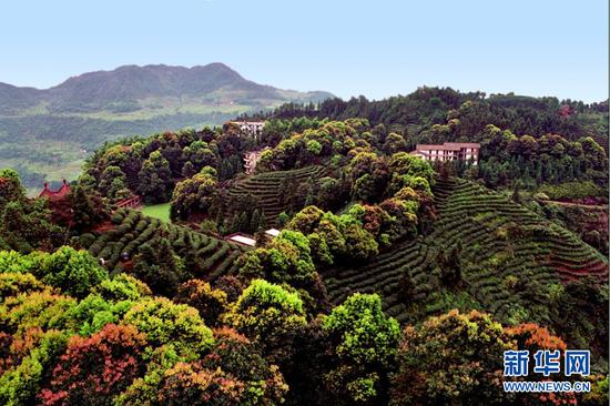 比赛举办地江津骆来山风光。新华网发(江津宣传部供图)