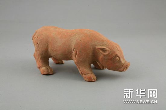 东汉红陶猪