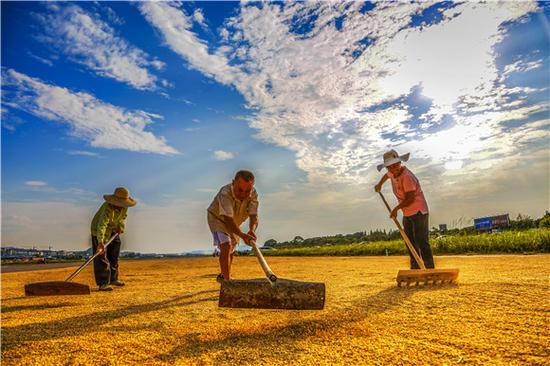 收获的季节全集免费看第二部 a107-iaqfzyu9938165.jpg