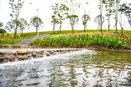 整治后的跳磴河河面波光粼粼,两岸绿树成荫。重庆市规划自然资源局供图