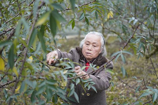 225գϪ໨ڣ72ƶΪ֦»  