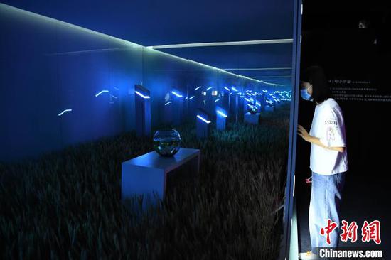 图为时空沉浸展吸引民众观展。 陈超 摄