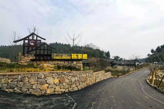 张泽美 摄
